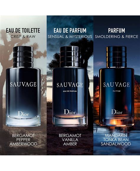 sauvage perfume macys|More.